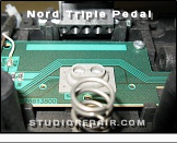 Clavia Nord Triple Pedal - Switch * Sostenuto Pedal Switch