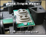 Clavia Nord Triple Pedal - Switches * Sustain Pedal Switches