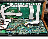 Moog Minimoog Voyager - Opened * …