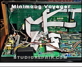 Moog Minimoog Voyager - Opened * …