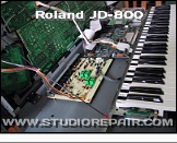 Roland JD-800 - Picture * …