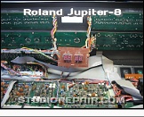 Roland Jupiter-8 - Panel Display * …