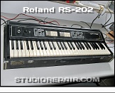 Roland RS-202 - Top View * …