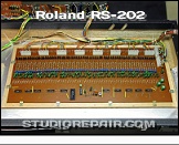 Roland RS-202 - Opened * PCB AGH-2B - Tone Generator & Gate Circuit