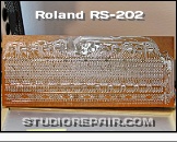 Roland RS-202 - Tone Generator * PCB AGH-2B - Tone Generator & Gate Circuit Board