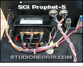 Sequential Circuits Prophet-5 - Power Supply * SCI Model 1000 Rev 3.3: Mains Transformer Section