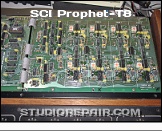 Sequential Circuits Prophet-T8 - Right Voices Board * …