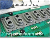 Roland D-50 - Keyboard Assembly * Rubber Dome Switches