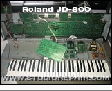 Roland JD-800 - Guts * …