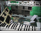 Roland JD-800 - Panel Taken Apart * …