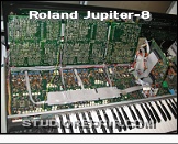 Roland Jupiter-8 - Circuit Boards * …
