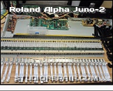 Roland Alpha Juno-2 - Keyboard * Keyboard Assembly Dismantled for Contact Cleaning