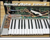 Roland Alpha Juno-2 - Opened * …