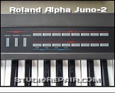 Roland Alpha Juno-2 - Panel * Patch Selection Buttons