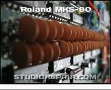 Roland MKS-80 - S&H Caps * These are the S&H capacitors of one voice board.