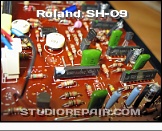 Roland SH-09 - Roland BA662 * Roland BA662 OTAs