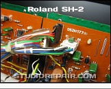 Roland SH-2 - Connectors * …