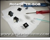 Roland TR-808 - Buttons * Contact refurbishment