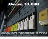 Roland TR-808 - Buttons * Step buttons detail