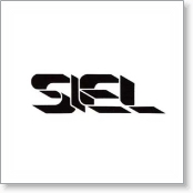 SIEL (Società Industrie Elettroniche s.p.a.), Italy. * (12 Slides)