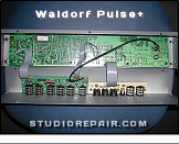 Waldorf Pulse+ - Opened * …