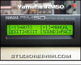 Yamaha RM50 - Display * System Diagnostics Entry