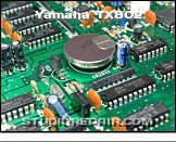 Yamaha TX802 - Backup Battery * Replacement Battery - A CR2450 with Slightly Bended Solder Pins Will Fit